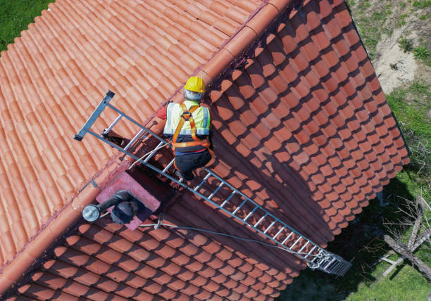 Fast & Reliable Emergency Roof Repairs in Royal Palm Estates, FL